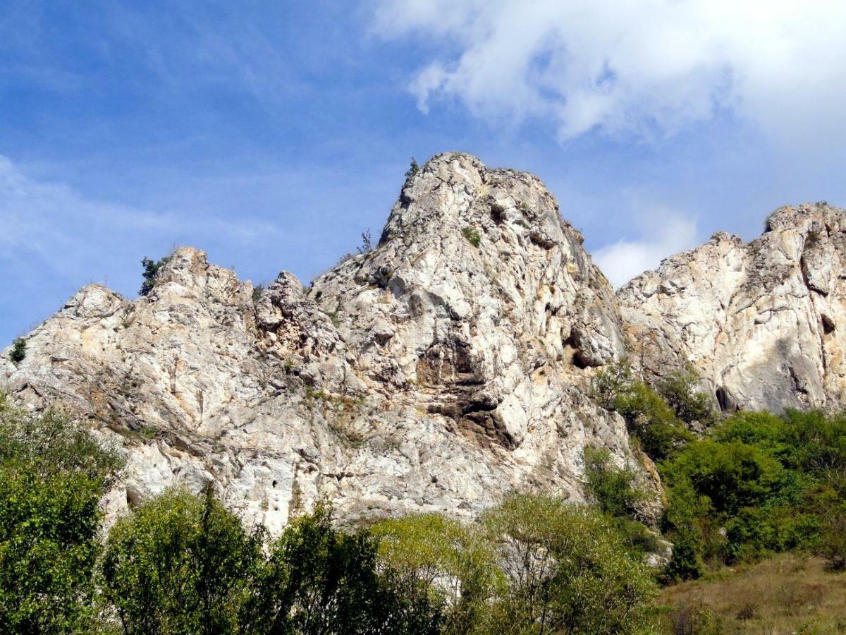 Hotel Aleksievata Kashta Gurgulyat Dış mekan fotoğraf