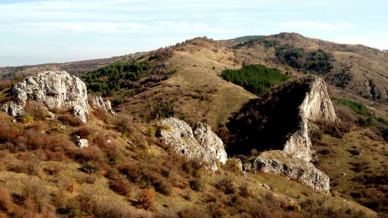 Hotel Aleksievata Kashta Gurgulyat Dış mekan fotoğraf