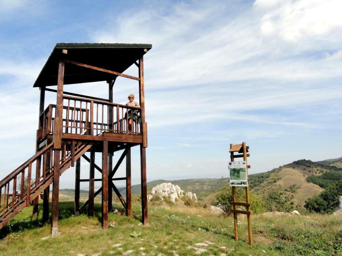 Hotel Aleksievata Kashta Gurgulyat Dış mekan fotoğraf