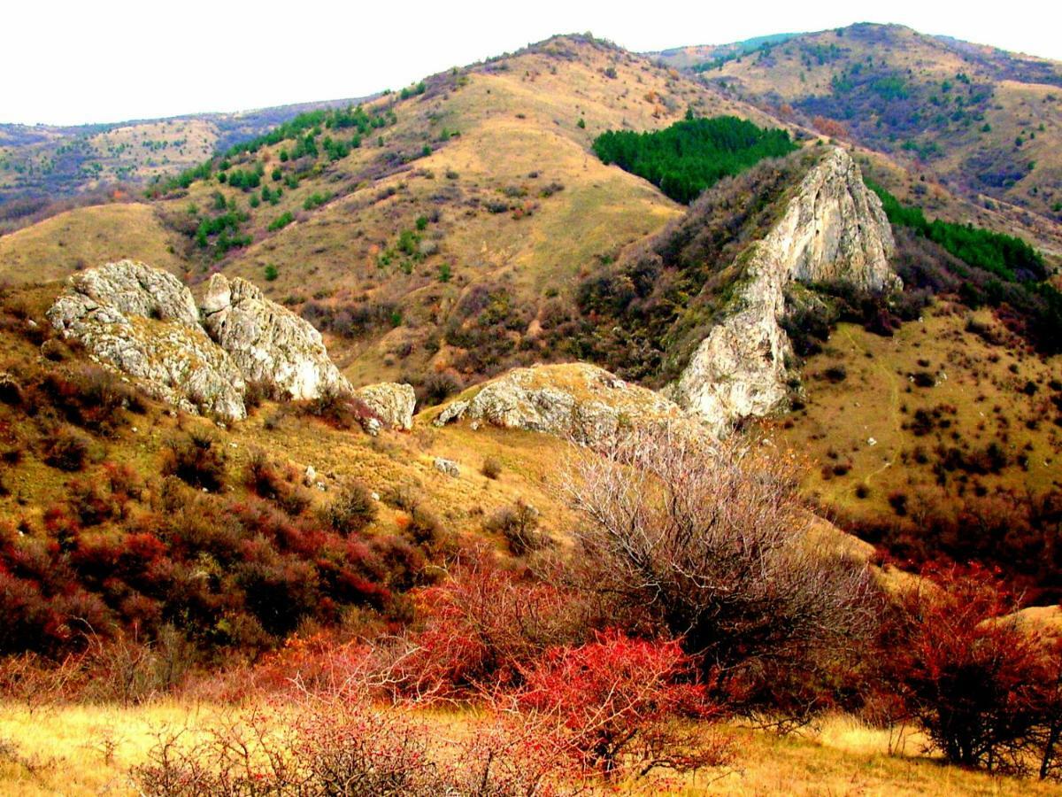 Hotel Aleksievata Kashta Gurgulyat Dış mekan fotoğraf