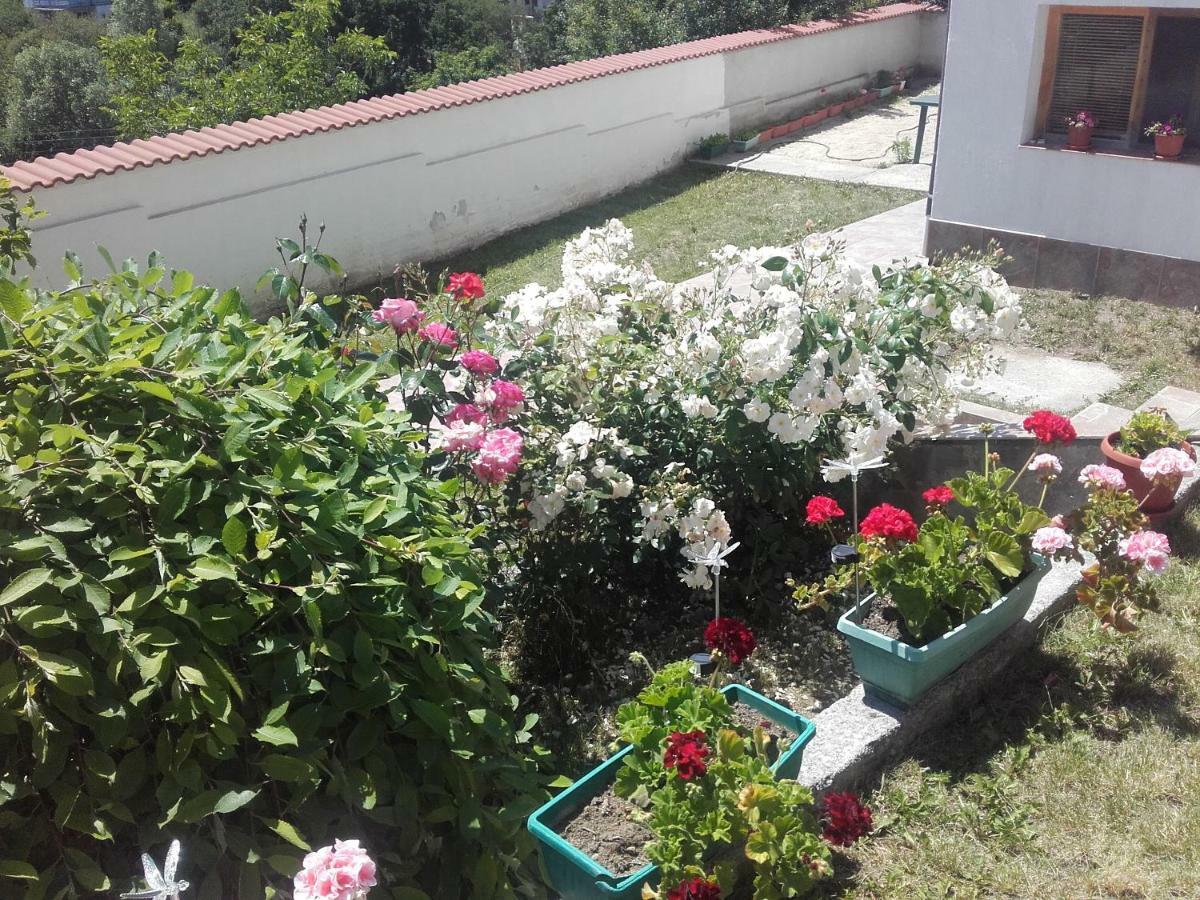 Hotel Aleksievata Kashta Gurgulyat Dış mekan fotoğraf
